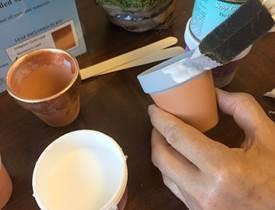 SeppLeaf DIY GildedRoseGoldWeddingFavorSucculents_Page2_Image1