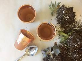 SeppLeaf DIY GildedRoseGoldWeddingFavorSucculents_Page4_Image1