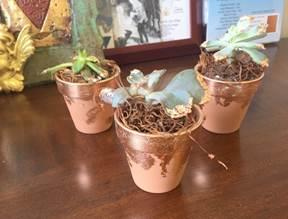 SeppLeaf DIY GildedRoseGoldWeddingFavorSucculents_Page4_Image5