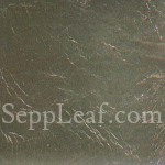 Variegated Lf Black Special #207 14cm @500Lvs/Pk ITL @ seppleaf.com