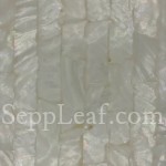 Fresh Water Pearl  Fresh Water Pearl