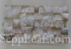 617291a517f88cc0038b45be 20260902121317